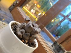 -饵块食光·云南有机手作饵块