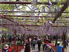 -尹兰楼西北风情餐厅(嘉定店)