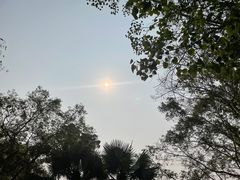 -中国科学院西双版纳热带植物园