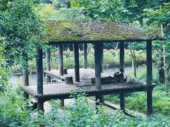 -中国大熊猫保护研究中心雅安碧峰峡基地