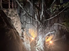 -金鸡山公园