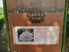 -洛阳市隋唐城遗址植物园