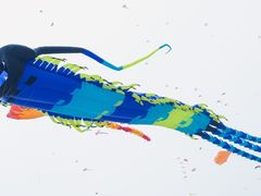 -潍坊滨海云门国际风筝放飞场