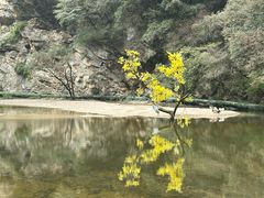 -少华山国家森林公园