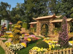 -上海共青森林公园