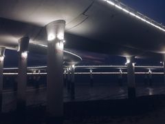 -演武大桥观景平台