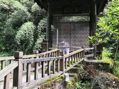 -三峡人家风景区