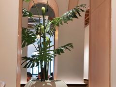 景观位-森Some Fusion(荔湾店)