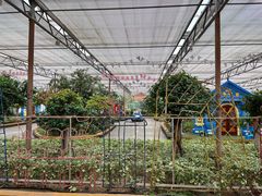 -南宫五洲植物乐园