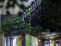 -朝花夕拾中餐厅(台儿庄古城复兴广场店)