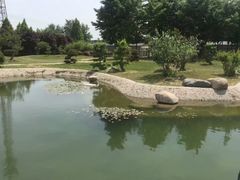 -石家庄市植物园