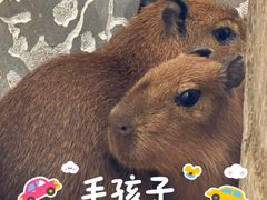 -鄂尔多斯野生动物园