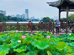 -南宁南湖公园