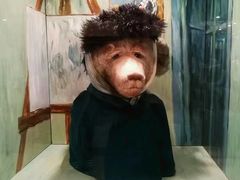 -济州岛泰迪熊博物馆