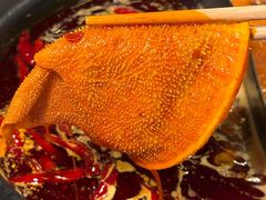 -蜀大侠火锅(总府路店)