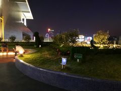 -椰夫人·养生椰子鸡(金沙洲永旺店)