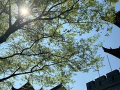 -常德桃花源景区