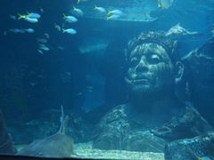 -暹罗海洋世界