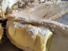 -岳各庄批发市场(西四环中路店)