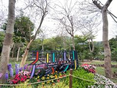 -梧桐山风景名胜区