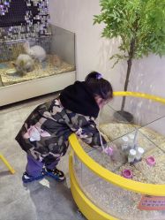 -神奇动物撸宠馆·羊驼·小浣熊·异宠(豫园店)