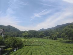 -灵顺寺