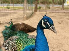 -南大港湿地风景区