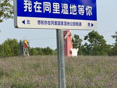 -同里国家湿地公园