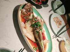 -大榕树下顺德菜(融创茂店)