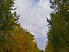-那家山城(樱桃园店)