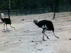 -西安秦岭野生动物园