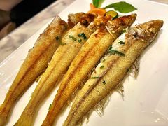 -欢乐海岸美食联盟