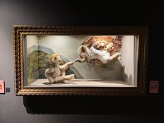 -济州岛泰迪熊博物馆