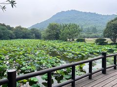 -八卦田遗址公园