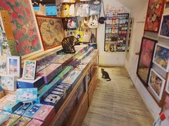 -猫的天空之城概念书店(丽江古城饮玉巷店)