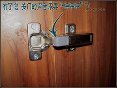blum铰链+阻尼器-佰丽爱家全屋定制(汶水店)
