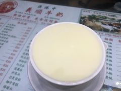 姜撞奶-义顺牛奶公司(新马路老店)
