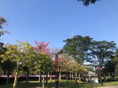 -文华公园(禅城区)