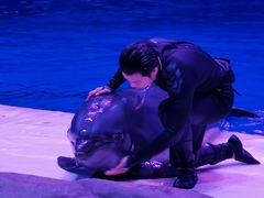 -华夏文旅海洋公园