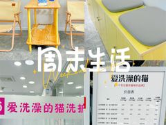 -爱洗澡的猫(天河路店)