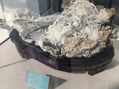 -房山世界地质公园博物馆