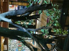 -渔太泰漓江小馆·广西融合菜(西街店)