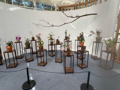 -上海鲜花港