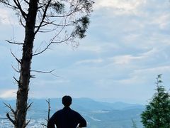 -长虫山生态公园风景林
