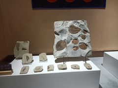 -抱璞文化展示中心