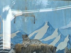 -青藏高原野生动物园