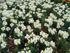 -龙环葡韵住宅式博物馆