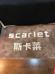 -scarlet斯卡莱美容护理机构
