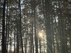 -上海浦江郊野公园-2号停车场