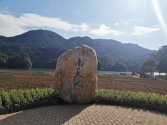 -广州市石门国家森林公园